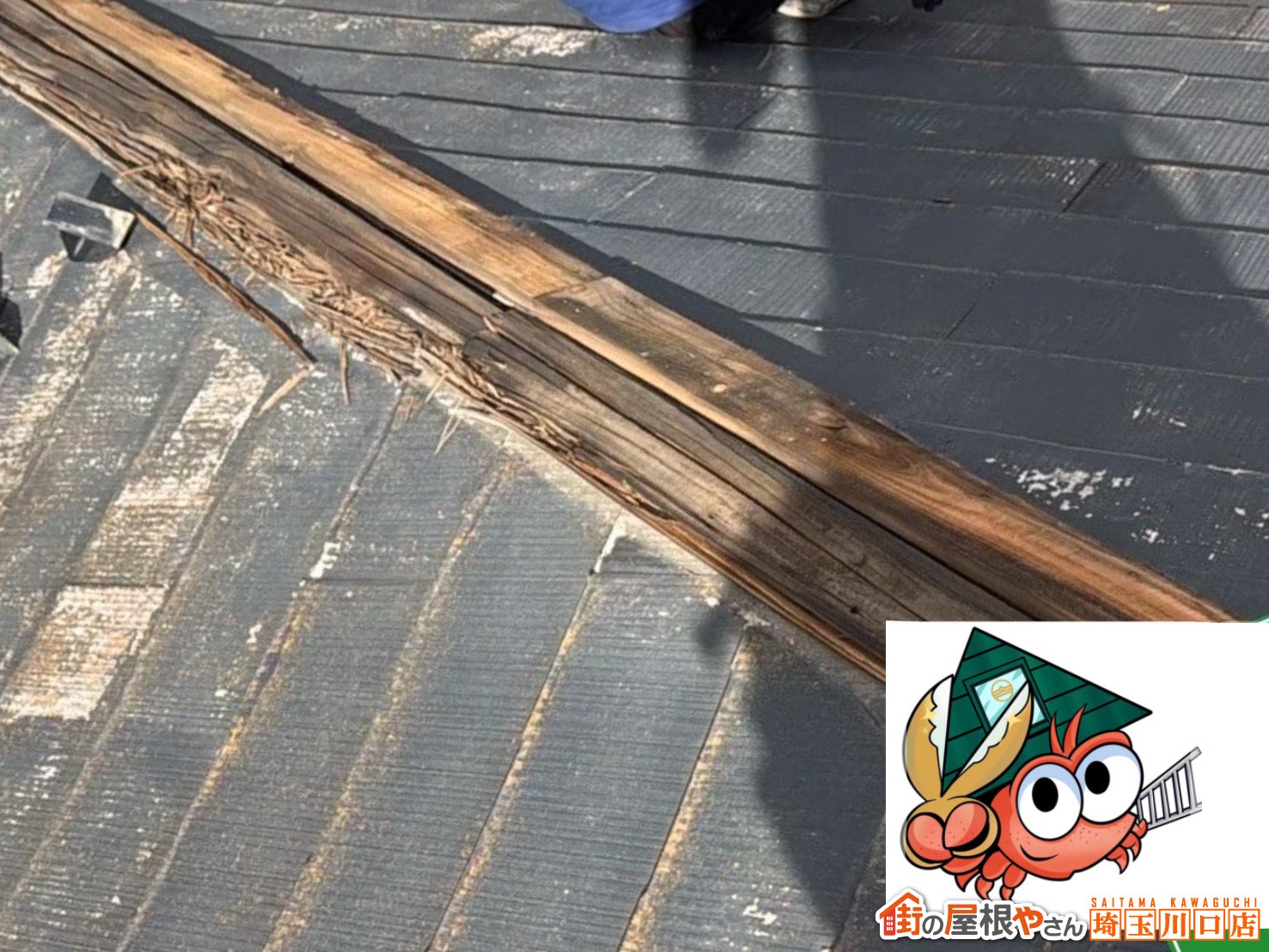 既存貫板がボロボロの状態